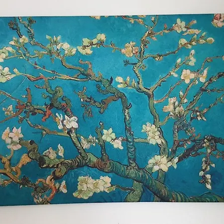 Center Διαμέρισμα *